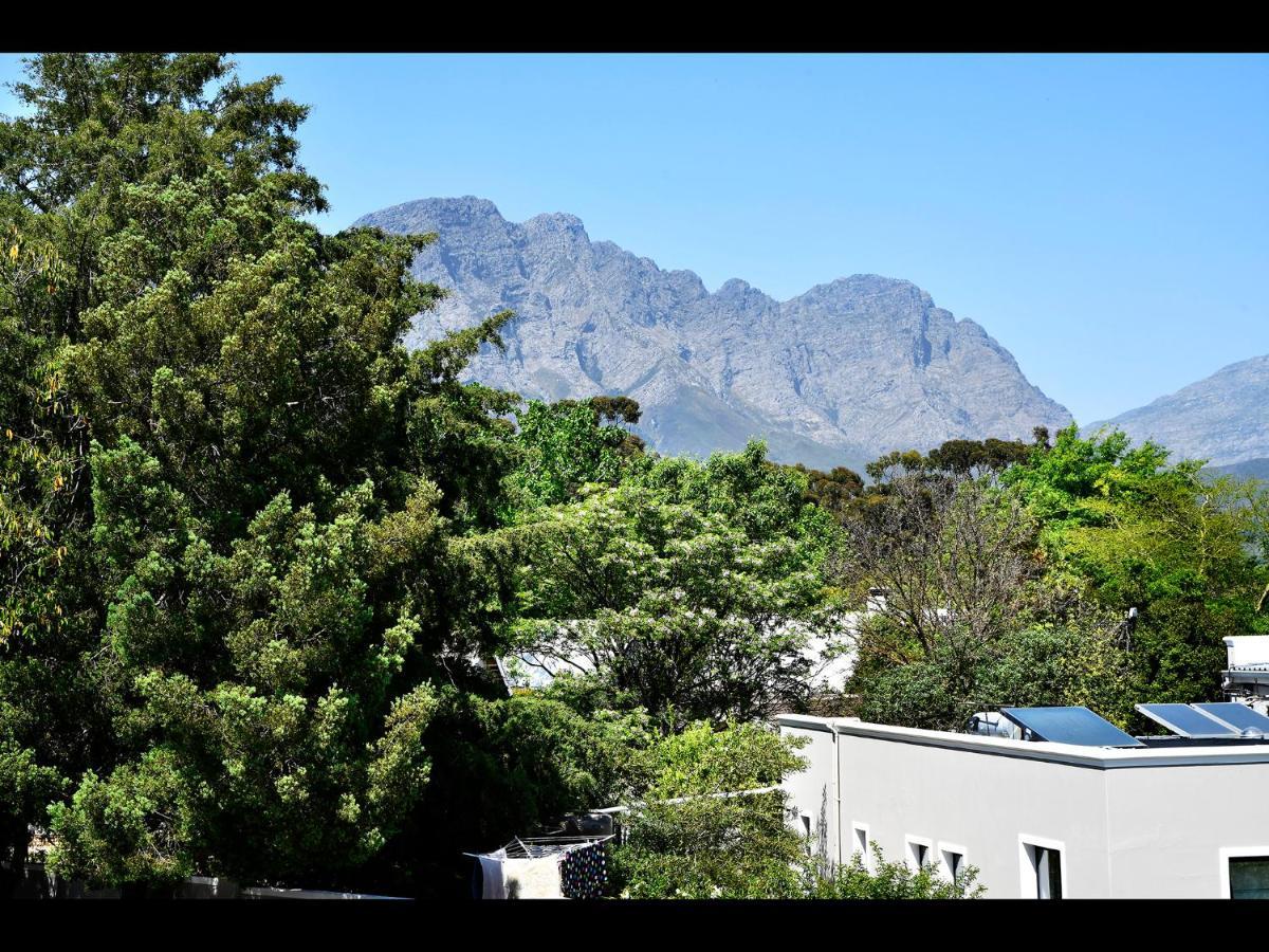 Small Wonder Franschhoek Eksteriør billede